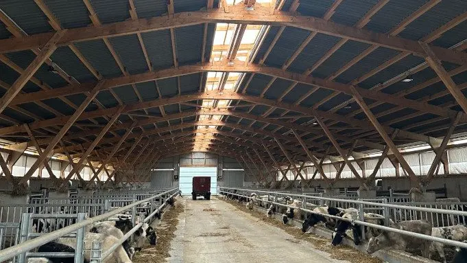 Bullenstall 27×74m
